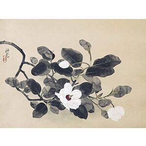 Artery8 Yamamura Koka Magnolia Branch Flower Painting Unframed Wall Art Print Poster Home Decor Premium Artery8 Yamamura Koka Magnolia Branch Flower Painting Unframed Wall Art Print Poster Home Decor Premium
