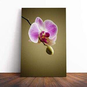Big Box Art Canvas Print Wall Art Pink Orchid Flower (3) Mounted and Stretched Box Frame Picture Home Decor for Kitchen, Living, Dining Room, Bedroom, Hallway, Multi-Colour, 30x20 Inch Big Box Art Canvas Print Wall Art Pink Orchid Flower (3) Mounted and Stretched Box Frame Picture Home Decor for Kitchen, Living, Dining Room, Bedroom, Hallway, Multi-Colour, 30x20 Inch
