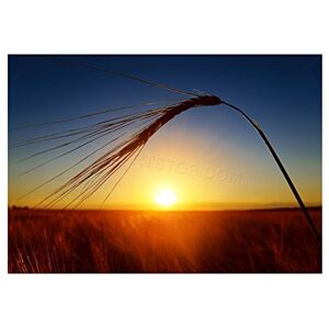 Wee Blue Coo Photo Sunset Dusk Sun Ripe Ear Wheat Field Grain Crop Wall Art Print Wee Blue Coo Photo Sunset Dusk Sun Ripe Ear Wheat Field Grain Crop Wall Art Print
