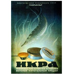 Wee Blue Coo Ad Soviet Sturgeon Caviar Nutrition USSR Fish Wall Art Print Wee Blue Coo Ad Soviet Sturgeon Caviar Nutrition USSR Fish Wall Art Print