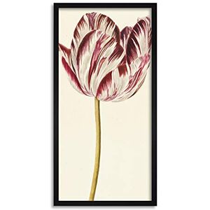 Artery8 Red White Tulip Flowers Nature Painting Framed Wall Art Print Long 25X12 Inch Artery8 Red White Tulip Flowers Nature Painting Framed Wall Art Print Long 25X12 Inch