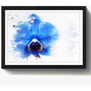Arty Pie Framed Print Black A2 (24.5x18 Inch) Flower Blue Orchid V3, Wood, Multi-Colour, 60 x 42 x 2 cm Arty Pie Framed Print Black A2 (24.5x18 Inch) Flower Blue Orchid V3, Wood, Multi-Colour, 60 x 42 x 2 cm