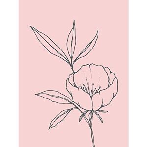Wee Blue Coo Blush Pink Plant Poppy Flower Grey Large Wall Art Poster Print Thick Paper 18X24 Inch Wee Blue Coo Blush Pink Plant Poppy Flower Grey Large Wall Art Poster Print Thick Paper 18X24 Inch