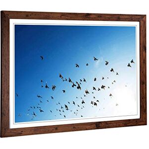 Big Box Art Framed Print of Pigeons Birds Flying Design Wall Art Picture Home Decor for Kitchen, Living, Dining Room, Lounge, Bedroom, Hallway, Office, Walnut, A2 / 24.5x18 Inch / 62x45cm Big Box Art Framed Print of Pigeons Birds Flying Design Wall Art Picture Home Decor for Kitchen, Living, Dining Room, Lounge, Bedroom, Hallway, Office, Walnut, A2 / 24.5x18 Inch / 62x45cm