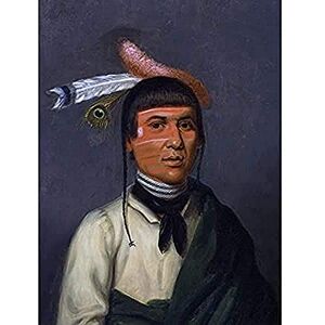 Fine Art Prints Inman Chief No-Tin Chippewa Native American Portrait Art Print Canvas Premium Wall Decor Poster Mural Fine Art Prints Inman Chief No-Tin Chippewa Native American Portrait Art Print Canvas Premium Wall Decor Poster Mural