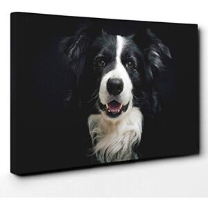 Big Box Art Border Collie Dog Canvas Print Gallery Wrapped 30mm Frame Wall Art 24x16 inches Ready to Hang Modern Animals Picture Living Room Bedroom Lounge Office Big Box Art Border Collie Dog Canvas Print Gallery Wrapped 30mm Frame Wall Art 24x16 inches Ready to Hang Modern Animals Picture Living Room Bedroom Lounge Office