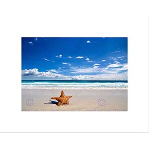 Wee Blue Coo Photo Seascape Composition Starfish Beach Cloud Surf Sand Wall Art Print Wee Blue Coo Photo Seascape Composition Starfish Beach Cloud Surf Sand Wall Art Print