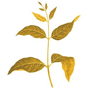 Wee Blue Coo Botanics Gold And Grey Leaves Large Wall Art Print Canvas Premium Poster Wee Blue Coo Botanics Gold And Grey Leaves Large Wall Art Print Canvas Premium Poster