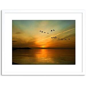 Wee Blue Coo 9x7 '' GEESE BIRD FORMATION SUNSET LAKE FRAMED ART PRINT PICTURE PHOTO F97X366 Wee Blue Coo 9x7 '' GEESE BIRD FORMATION SUNSET LAKE FRAMED ART PRINT PICTURE PHOTO F97X366
