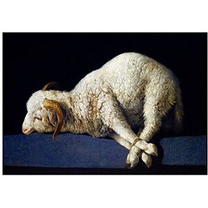 Wee Blue Coo Painting Still Life Study Animal Zurbaran Lamb God Wall Art Print Wee Blue Coo Painting Still Life Study Animal Zurbaran Lamb God Wall Art Print