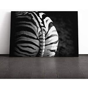 Big Box Art Zebra Rear Canvas Print Gallery Wrapped 30mm Frame Wall Art 30x20 inches Ready to Hang Modern Animals Picture Living Room Bedroom Lounge Office Big Box Art Zebra Rear Canvas Print Gallery Wrapped 30mm Frame Wall Art 30x20 inches Ready to Hang Modern Animals Picture Living Room Bedroom Lounge Office