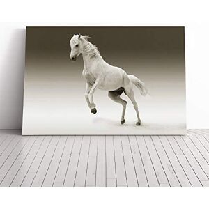 Big Box Art White Horse 2 - 20x14 Inch Canvas Print Big Box Art White Horse 2 - 20x14 Inch Canvas Print