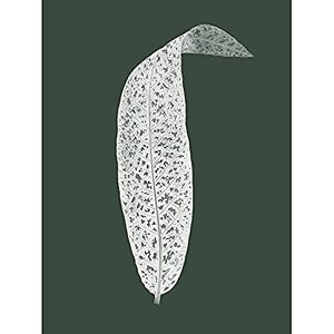 Wee Blue Coo Botanics Hunter Green Leaf Unframed Art Print Poster Wall Decor 12x16 inch Wee Blue Coo Botanics Hunter Green Leaf Unframed Art Print Poster Wall Decor 12x16 inch