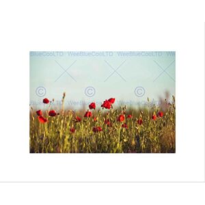 Wee Blue Coo PHOTO LANDSCAPE POPPY FLOWER FIELD MEADOW RED PETAL FRAMED ART PRINT B12X13124 Wee Blue Coo PHOTO LANDSCAPE POPPY FLOWER FIELD MEADOW RED PETAL FRAMED ART PRINT B12X13124