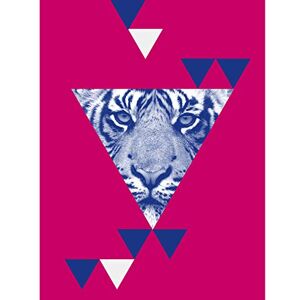 Wee Blue Coo Triangular Tiger Abstract Large Wall Art Print Canvas Premium Poster Wee Blue Coo Triangular Tiger Abstract Large Wall Art Print Canvas Premium Poster
