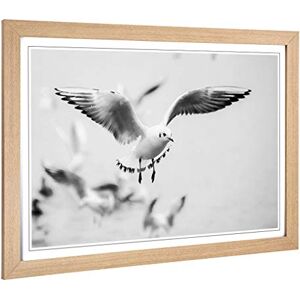 Big Box Art Framed Print of Seagulls Birds Design Wall Art Picture Home Decor for Kitchen, Living, Dining Room, Lounge, Bedroom, Hallway, Office, Oak, A2 / 24.5x18 Inch / 62x45cm Big Box Art Framed Print of Seagulls Birds Design Wall Art Picture Home Decor for Kitchen, Living, Dining Room, Lounge, Bedroom, Hallway, Office, Oak, A2 / 24.5x18 Inch / 62x45cm