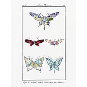 Wee Blue Coo Natural Butterflies Paris Fashion Premium Wall Art Canvas Print 18X24 Inch Wee Blue Coo Natural Butterflies Paris Fashion Premium Wall Art Canvas Print 18X24 Inch
