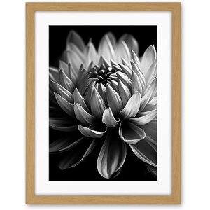 Artery8 Macro Close Up Dahlia Flower Black and White Photo Artwork Framed Wall Art Print 18X24 Inch Artery8 Macro Close Up Dahlia Flower Black and White Photo Artwork Framed Wall Art Print 18X24 Inch