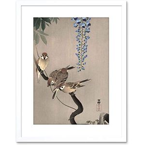 Wee Blue Coo Painting Japan Nature Sparrow Bird Flower Shoson Ohara Framed Wall Art Print Wee Blue Coo Painting Japan Nature Sparrow Bird Flower Shoson Ohara Framed Wall Art Print
