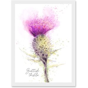 Wee Blue Coo Scottish Thistle Flower Head Watercolour Scotland A4 Artwork Framed Wall Art Print Wee Blue Coo Scottish Thistle Flower Head Watercolour Scotland A4 Artwork Framed Wall Art Print
