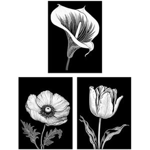 Artery8 Set of 3 Elegant Single Tulip Anemone Calla Lily Flowers Floral Black White Striking Impact Artwork Unframed Wall Art Living Room Poster Prints Pack Artery8 Set of 3 Elegant Single Tulip Anemone Calla Lily Flowers Floral Black White Striking Impact Artwork Unframed Wall Art Living Room Poster Prints Pack