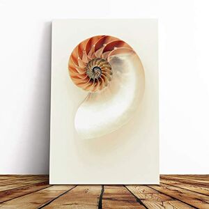 Big Box Art Mother of Pearl Shell Canvas Print Gallery Wrapped 30mm Frame Wall Art 24x16 inches Ready to Hang Modern Animals Picture Living Room Bedroom Lounge Office Big Box Art Mother of Pearl Shell Canvas Print Gallery Wrapped 30mm Frame Wall Art 24x16 inches Ready to Hang Modern Animals Picture Living Room Bedroom Lounge Office