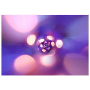 Wee Blue Coo Photo Little Planet World Disco Light Bubble 12x16 Wall Art Print Wee Blue Coo Photo Little Planet World Disco Light Bubble 12x16 Wall Art Print