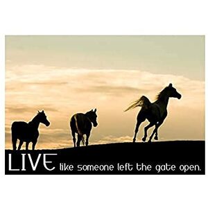 Wee Blue Coo Quote Horses Live Like Someone Left Gate Open Wall Art Print Wee Blue Coo Quote Horses Live Like Someone Left Gate Open Wall Art Print