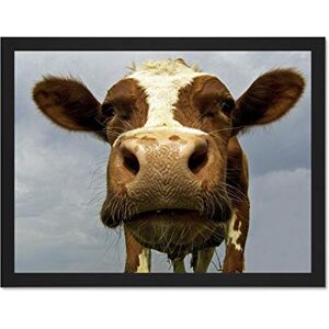 Wee Blue Coo Funny Cow Farm Animal Close Up Photo Art Large Framed Art Print Poster Wall Decor 18x24 inch Wee Blue Coo Funny Cow Farm Animal Close Up Photo Art Large Framed Art Print Poster Wall Decor 18x24 inch