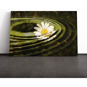 Big Box Art Canvas Print Wall Art Flower White Daisy (4) Mounted and Stretched Box Frame Picture Home Decor for Kitchen, Living, Dining Room, Bedroom, Hallway, Multi-Colour, 20x14 Inch Big Box Art Canvas Print Wall Art Flower White Daisy (4) Mounted and Stretched Box Frame Picture Home Decor for Kitchen, Living, Dining Room, Bedroom, Hallway, Multi-Colour, 20x14 Inch