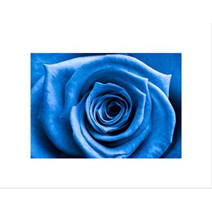 Wee Blue Coo PHOTO COMPOSITION FLOWER BLUE PETAL ROSE BUD COOL FRAMED ART PRINT B12X13059 Wee Blue Coo PHOTO COMPOSITION FLOWER BLUE PETAL ROSE BUD COOL FRAMED ART PRINT B12X13059