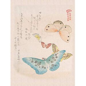 Fine Art Prints Kubo Shunman Moths And Butterflies Large Wall Art Print Canvas Premium Poster Fine Art Prints Kubo Shunman Moths And Butterflies Large Wall Art Print Canvas Premium Poster