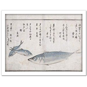 Artery8 Masayoshi Three Fish Japanese Sea Animals Painting Artwork Framed Wall Art Print 18X24 Inch Artery8 Masayoshi Three Fish Japanese Sea Animals Painting Artwork Framed Wall Art Print 18X24 Inch