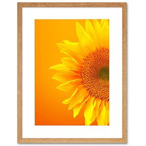 Wee Blue Coo Single Sunflower Bloom Orange Yellow Picture Framed Wall Art Print Wee Blue Coo Single Sunflower Bloom Orange Yellow Picture Framed Wall Art Print