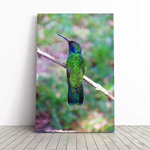 Big Box Art Hummingbird Bird Vol.3 Canvas Print Gallery Wrapped 30mm Frame Wall Art 24x16 inches Ready to Hang Modern Animals Picture Living Room Bedroom Lounge Office Big Box Art Hummingbird Bird Vol.3 Canvas Print Gallery Wrapped 30mm Frame Wall Art 24x16 inches Ready to Hang Modern Animals Picture Living Room Bedroom Lounge Office
