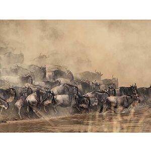 Fine Art Prints Wildebeest Antelope Herd Dust Großer Kunstdruck Poster Wanddekoration 45,7 x 61 cm Fine Art Prints Wildebeest Antelope Herd Dust Großer Kunstdruck Poster Wanddekoration 45,7 x 61 cm