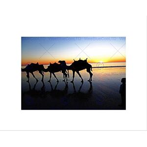 Wee Blue Coo Camels Beach Silhouette Sunset Art Picture Wall Art Print Wee Blue Coo Camels Beach Silhouette Sunset Art Picture Wall Art Print