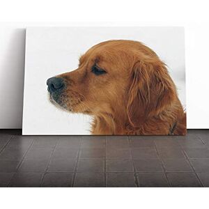 Big Box Art Golden Retriever Dog Canvas Print Gallery Wrapped 30mm Frame Wall Art 24x16 inches Ready to Hang Modern Animals Picture Living Room Bedroom Lounge Office Big Box Art Golden Retriever Dog Canvas Print Gallery Wrapped 30mm Frame Wall Art 24x16 inches Ready to Hang Modern Animals Picture Living Room Bedroom Lounge Office