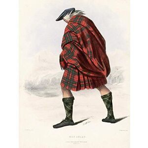 Wee Blue Coo Painting Portrait Highland Clan Scotland Tartan Macaulay Art Print Poster Wall Decor 12X16 Inch Wee Blue Coo Painting Portrait Highland Clan Scotland Tartan Macaulay Art Print Poster Wall Decor 12X16 Inch
