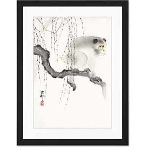 Wee Blue Coo Monkey Tree Branch Ohara Koson Large Framed Art Print Wall Poster 18x24 inch Wee Blue Coo Monkey Tree Branch Ohara Koson Large Framed Art Print Wall Poster 18x24 inch