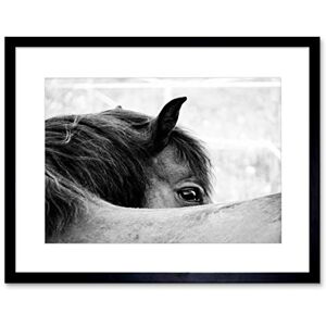 Wee Blue Coo Photo Animal Black White Horse Mane Eye Picture Framed Wall Art Print Wee Blue Coo Photo Animal Black White Horse Mane Eye Picture Framed Wall Art Print