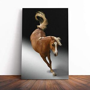 Big Box Art Jumping Horse Vol.3 Canvas Print Gallery Wrapped 30mm Frame Wall Art 20x14 inches Ready to Hang Modern Animals Picture Living Room Bedroom Lounge Office Big Box Art Jumping Horse Vol.3 Canvas Print Gallery Wrapped 30mm Frame Wall Art 20x14 inches Ready to Hang Modern Animals Picture Living Room Bedroom Lounge Office