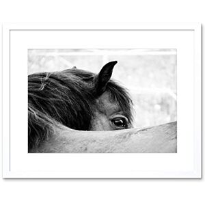 Wee Blue Coo Photo Animal Black White Horse Mane Eye Picture Framed Wall Art Print Wee Blue Coo Photo Animal Black White Horse Mane Eye Picture Framed Wall Art Print