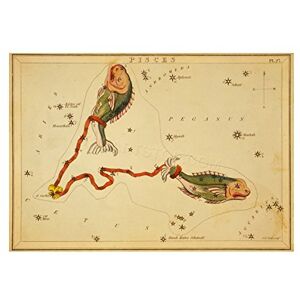 Wee Blue Coo Painting Drawing Star Map Pisces Fish Constellation Wall Art Print Wee Blue Coo Painting Drawing Star Map Pisces Fish Constellation Wall Art Print