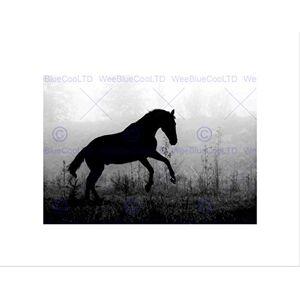 Wee Blue Coo PHOTO NATURE ANIMAL HORSE SILHOUETTE BLACK WHITE MISTY COOL ART PRINT B12X8433 Wee Blue Coo PHOTO NATURE ANIMAL HORSE SILHOUETTE BLACK WHITE MISTY COOL ART PRINT B12X8433