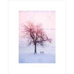 Wee Blue Coo Photo Landscape Winter Snow Foggy Sunrise Tree Bench Wall Art Print Wee Blue Coo Photo Landscape Winter Snow Foggy Sunrise Tree Bench Wall Art Print
