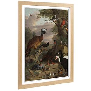 Big Box Art Framed Print of Melchior d'Hondecoeter Birds 2 Design Wall Art Picture Home Decor for Kitchen, Living, Dining Room, Bedroom, Hallway, Office, Oak, A2 / 24.5x18 Inch / 62x45cm Big Box Art Framed Print of Melchior d'Hondecoeter Birds 2 Design Wall Art Picture Home Decor for Kitchen, Living, Dining Room, Bedroom, Hallway, Office, Oak, A2 / 24.5x18 Inch / 62x45cm