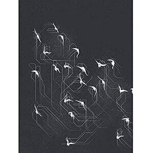 Wee Blue Coo Flock of Birds Silhouette Lines Unframed Wall Art Print Poster Home Decor Premium Wee Blue Coo Flock of Birds Silhouette Lines Unframed Wall Art Print Poster Home Decor Premium