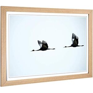 Big Box Art Framed Print of Flying Cranes Birds Design Wall Art Picture Home Decor for Kitchen, Living, Dining Room, Lounge, Bedroom, Hallway, Office, Oak, A2 / 24.5x18 Inch / 62x45cm Big Box Art Framed Print of Flying Cranes Birds Design Wall Art Picture Home Decor for Kitchen, Living, Dining Room, Lounge, Bedroom, Hallway, Office, Oak, A2 / 24.5x18 Inch / 62x45cm