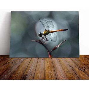 Big Box Art Macro Dragonfly Canvas Print Gallery Wrapped 30mm Frame Wall Art 24x16 inches Ready to Hang Modern Animals Picture Living Room Bedroom Lounge Office Big Box Art Macro Dragonfly Canvas Print Gallery Wrapped 30mm Frame Wall Art 24x16 inches Ready to Hang Modern Animals Picture Living Room Bedroom Lounge Office